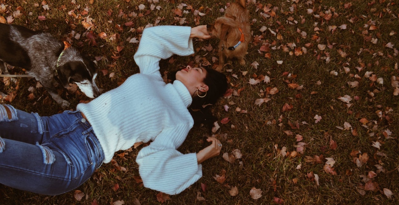 50 tendências para a moda Inverno 2020 – PARTE II